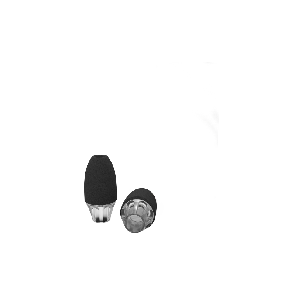 Earplugs