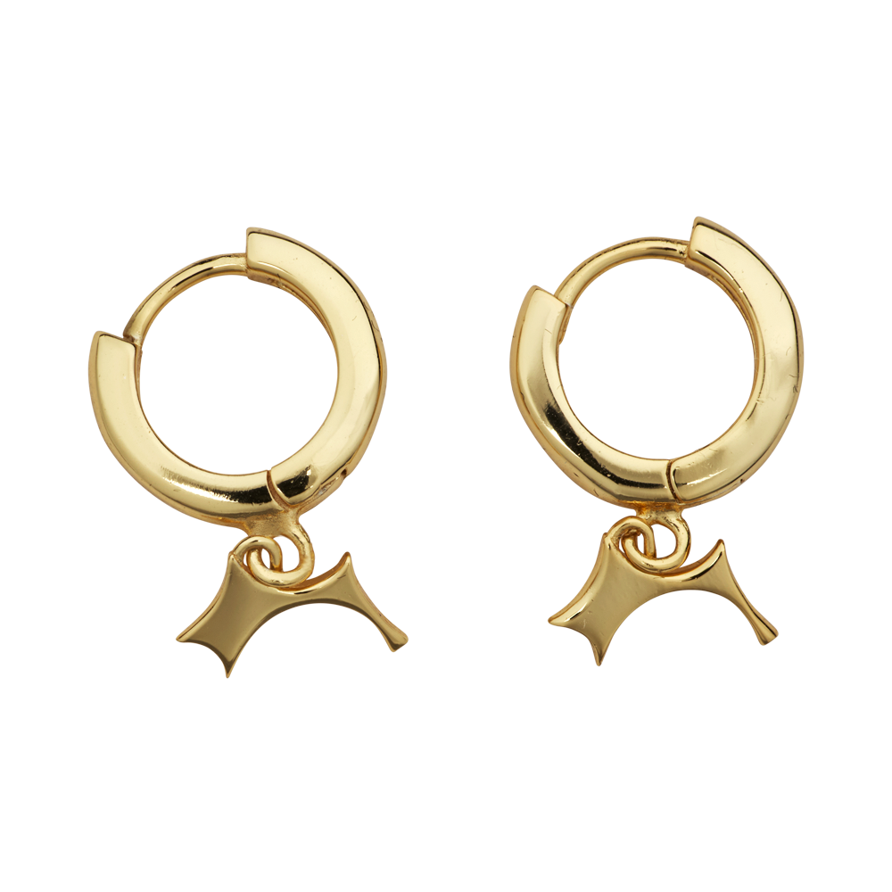 Canopy Hoops